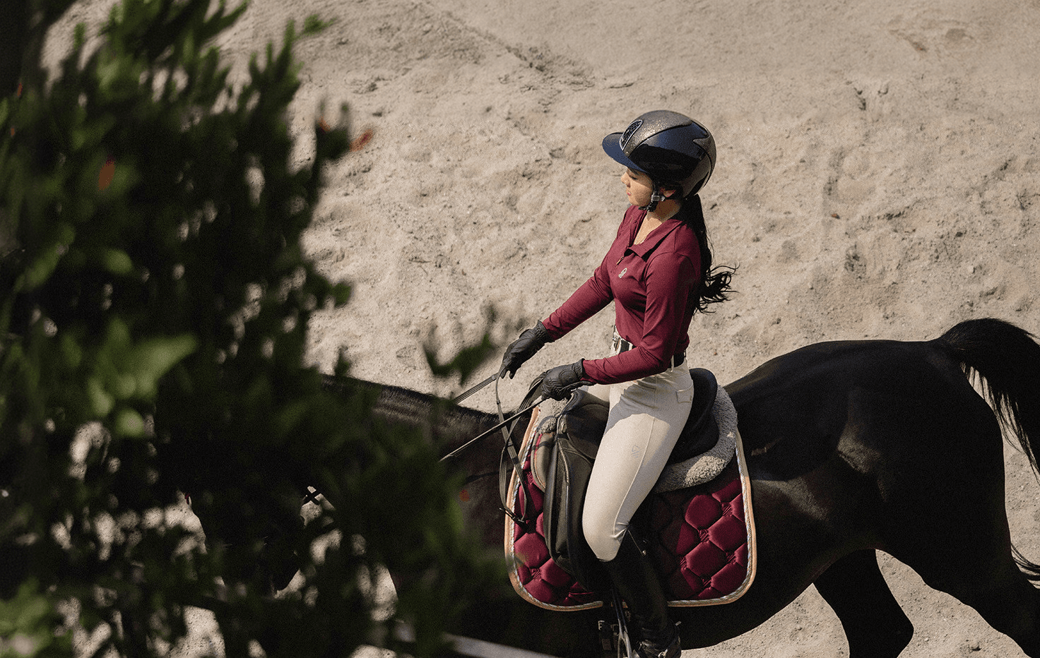 Equestrian rider on horse