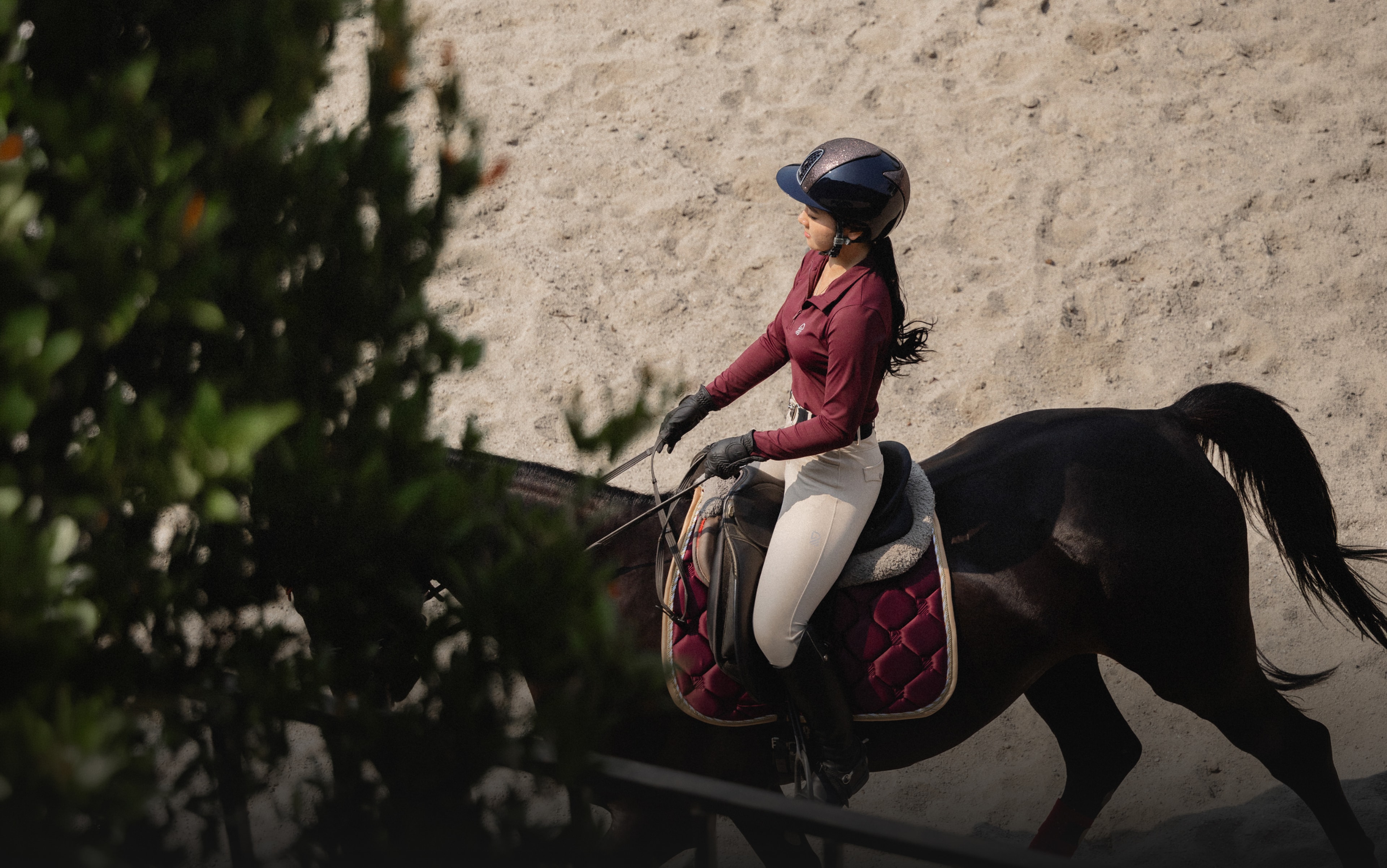 Equestrian rider on horse